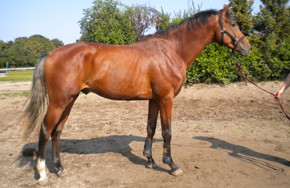 Breezer_2 Breezer_2